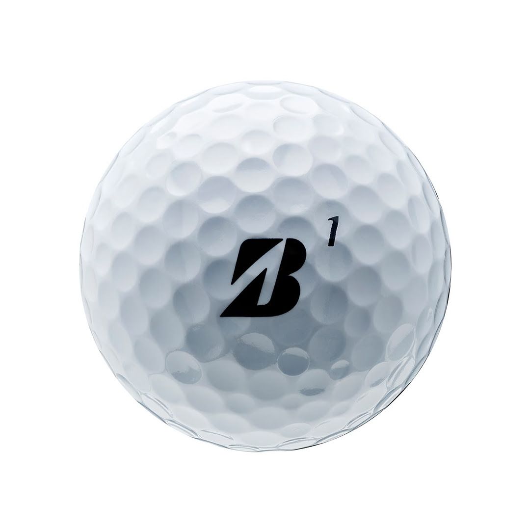 Bridgestone e6 Soft Golf Balls – 12 Ball Pack | Soft Feel | Long Distance | Straight Flight | Low Compression Golf Balls