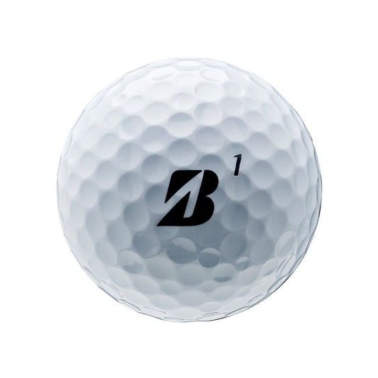 Bridgestone e6 Soft Golf Balls – 12 Ball Pack | Soft Feel | Long Distance | Straight Flight | Low Compression Golf Balls